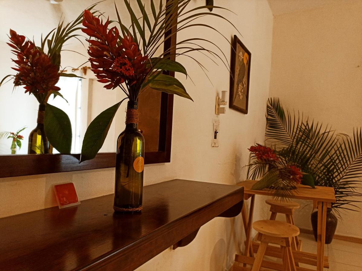 Casa De Los Pajaros - B&B Valladolid  Kültér fotó