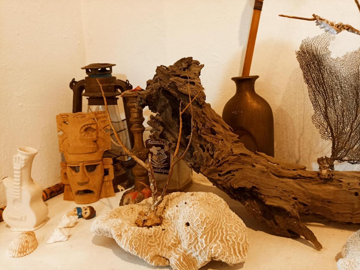 Casa De Los Pajaros - B&B Valladolid  Kültér fotó