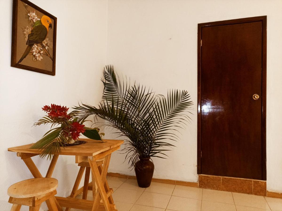 Casa De Los Pajaros - B&B Valladolid  Kültér fotó