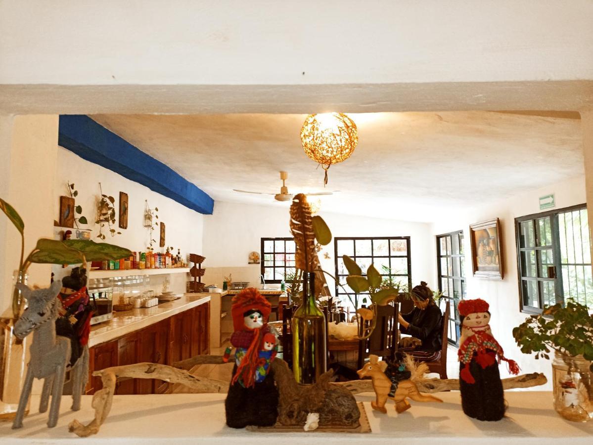 Casa De Los Pajaros - B&B Valladolid  Kültér fotó
