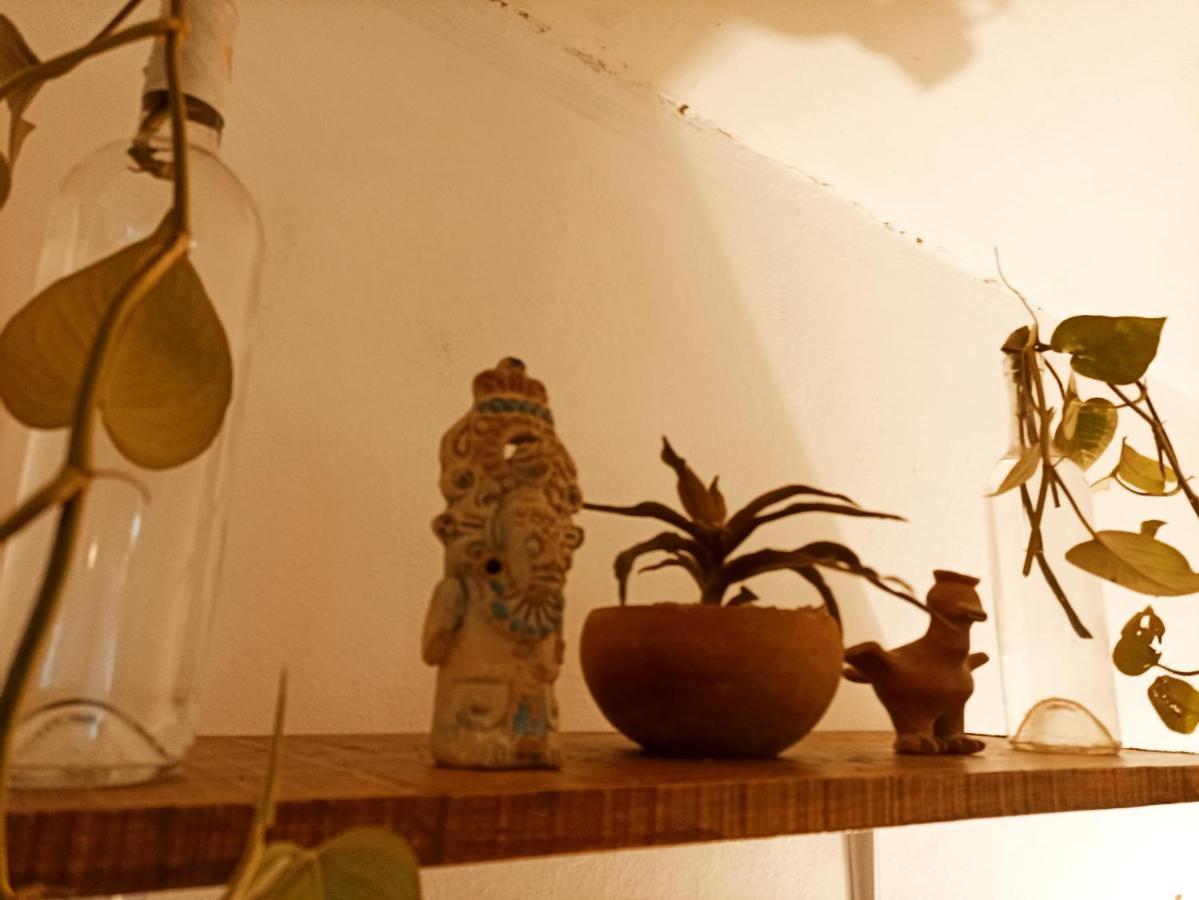 Casa De Los Pajaros - B&B Valladolid  Kültér fotó