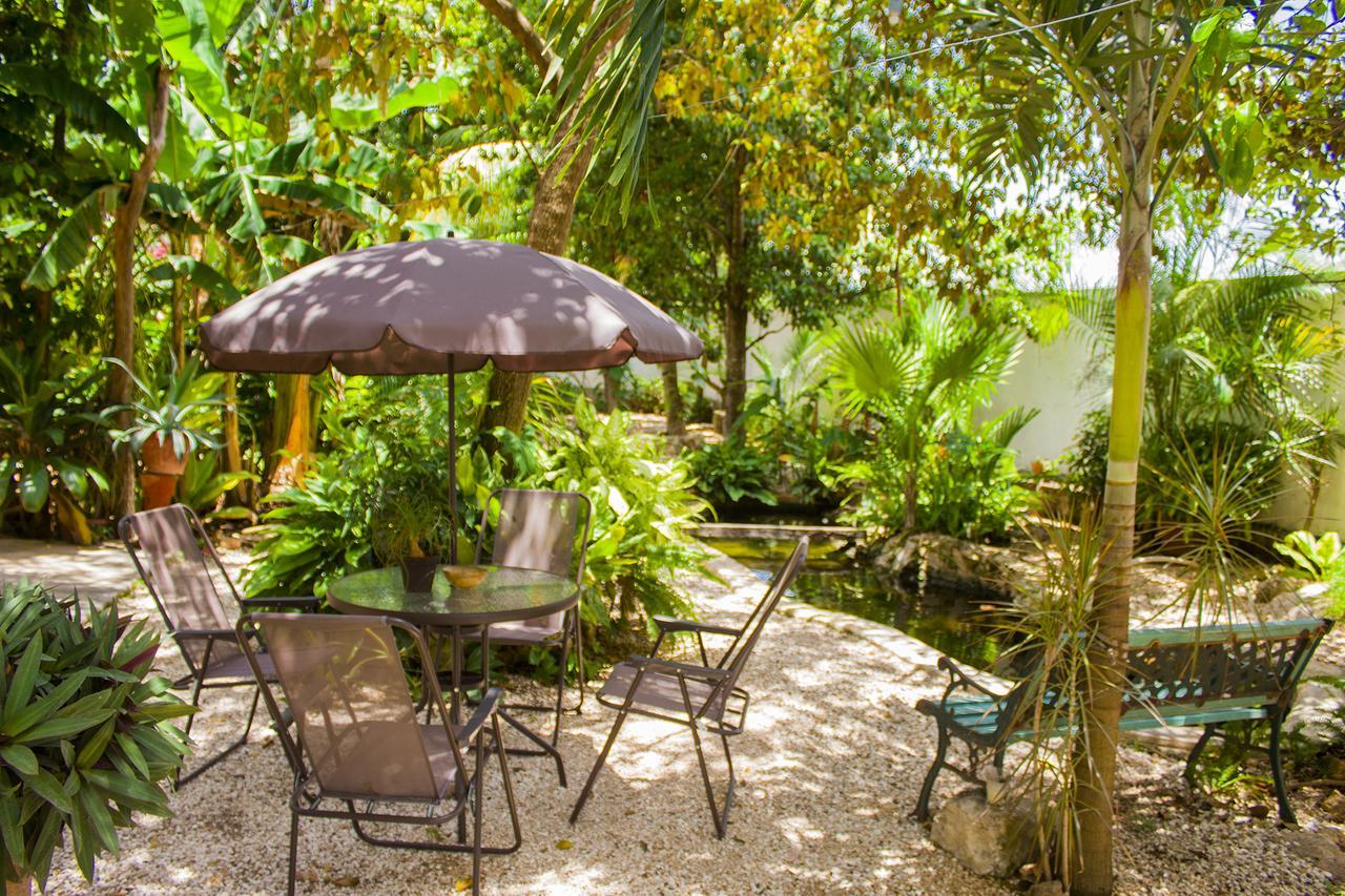 Casa De Los Pajaros - B&B Valladolid  Kültér fotó
