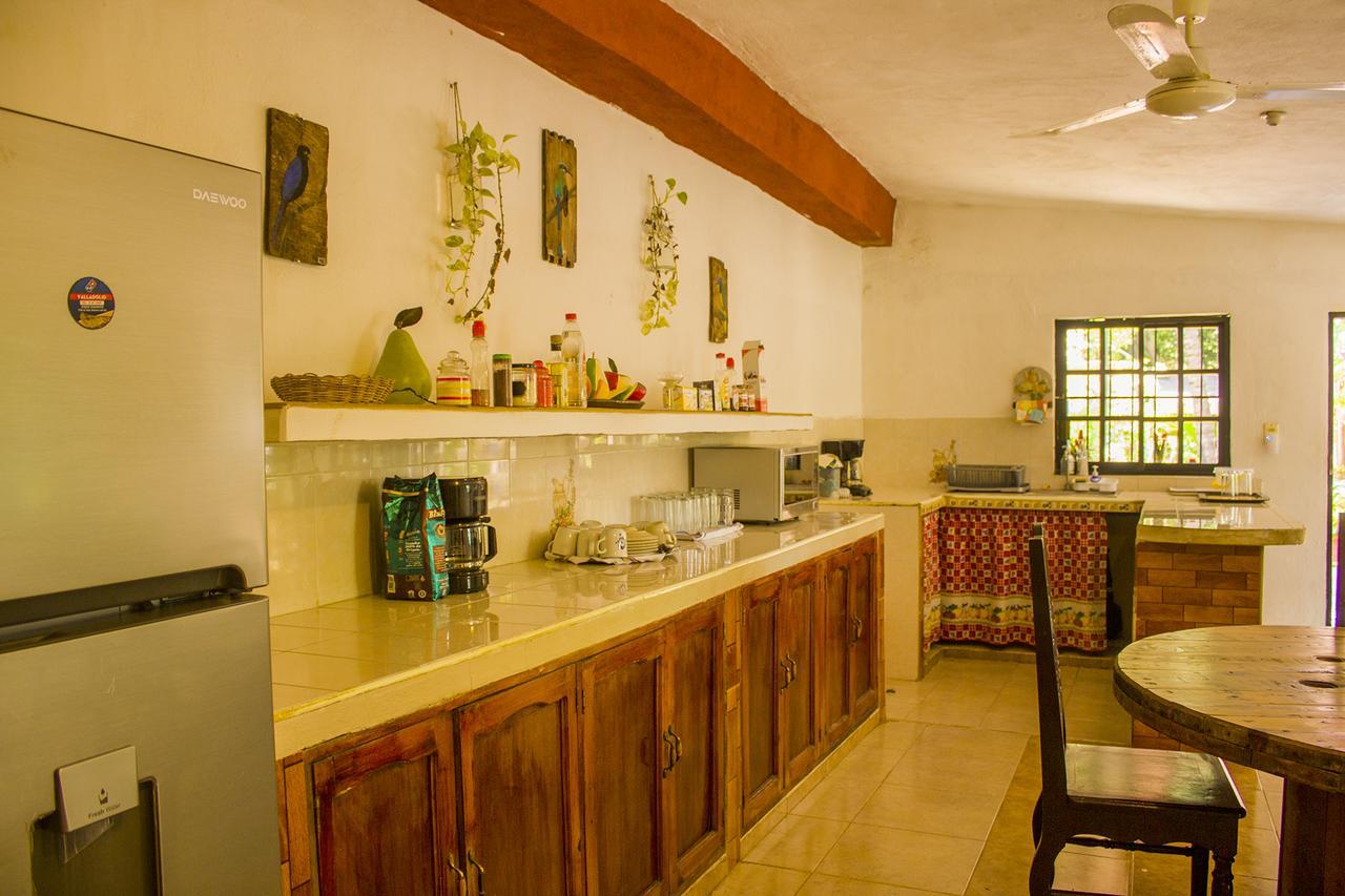 Casa De Los Pajaros - B&B Valladolid  Kültér fotó